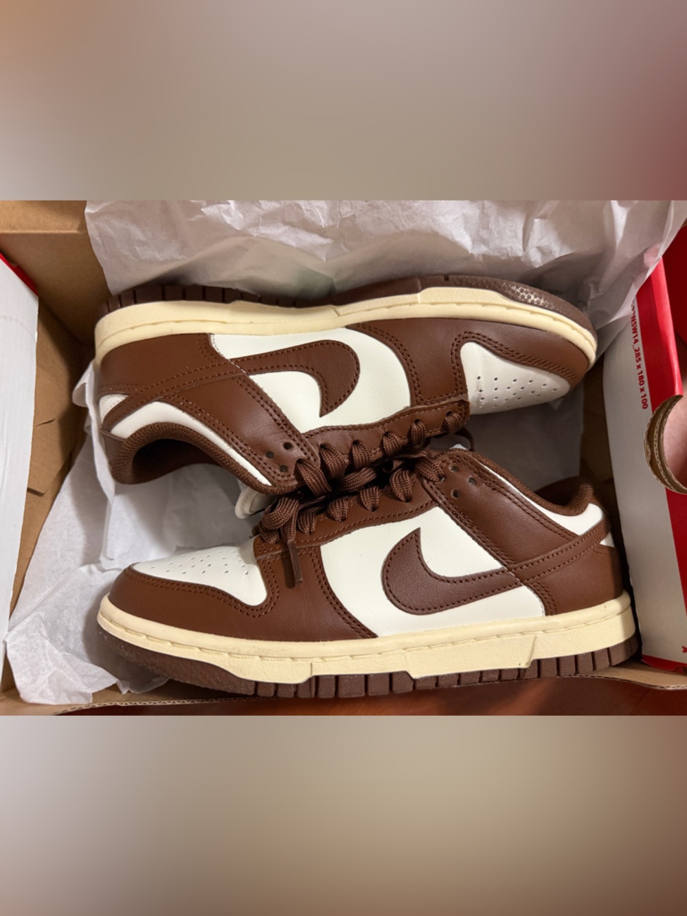 Nike Low-Top Sneakers in Brown and White